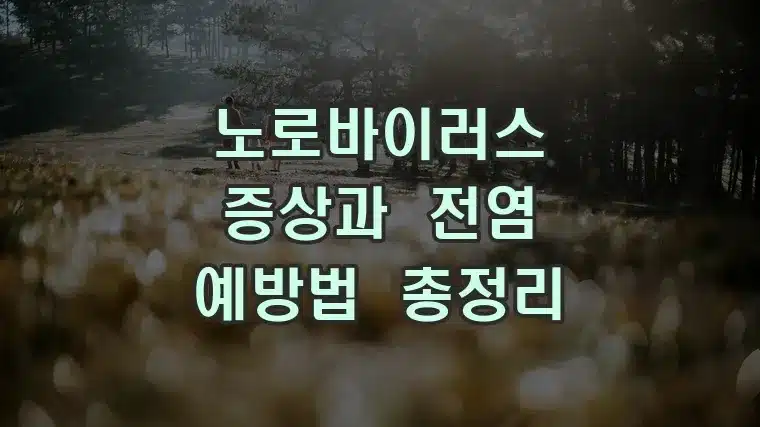 노로바이러스 증상과 전염 예방법 총정리