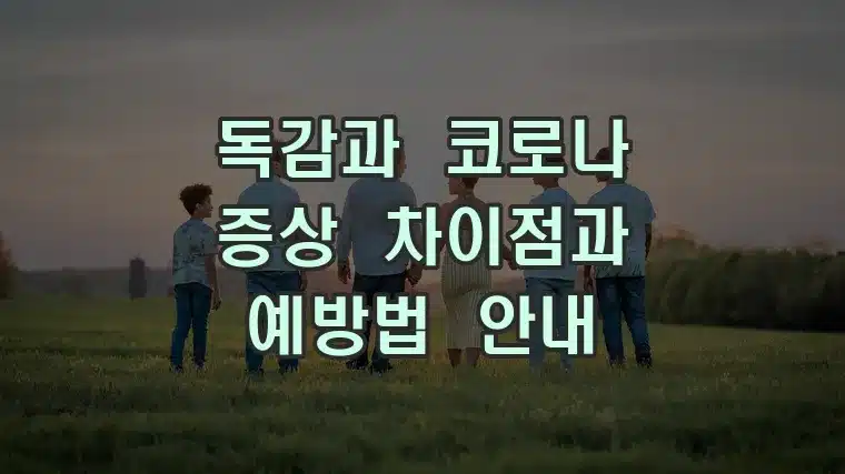 독감과 코로나 증상 차이점과 예방법 안내