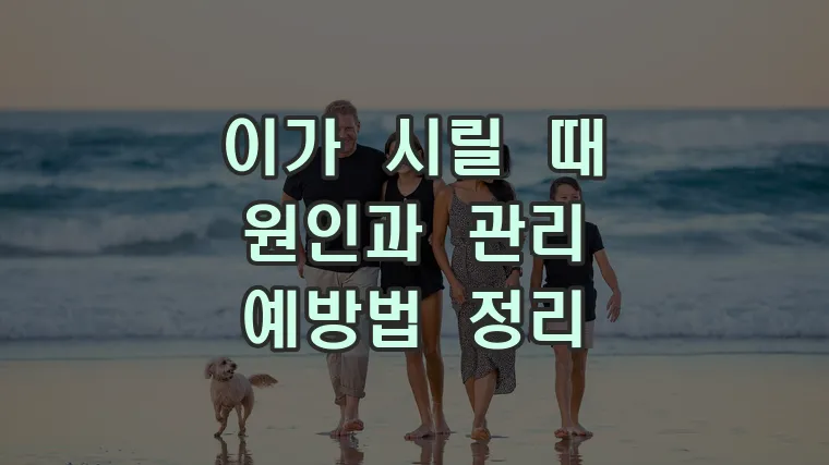 이가 시릴 때 원인과 관리 예방법 정리