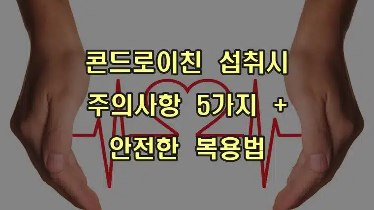 콘드로이친_섭취시_주의사항_5가지_+_안전한_복용법