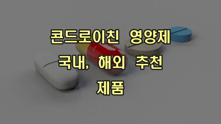 콘드로이친_영양제_국내,_해외_추천_제품