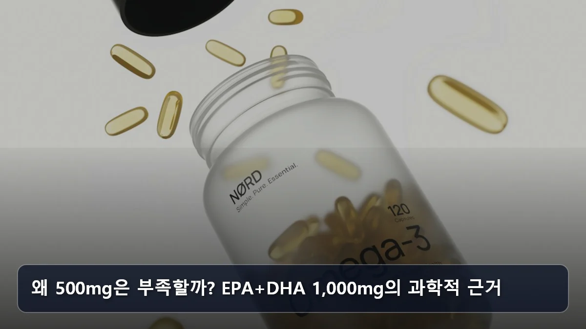 왜 500mg은 부족할까? EPA+DHA 1,000mg의 과학적 근거 관련 이미지