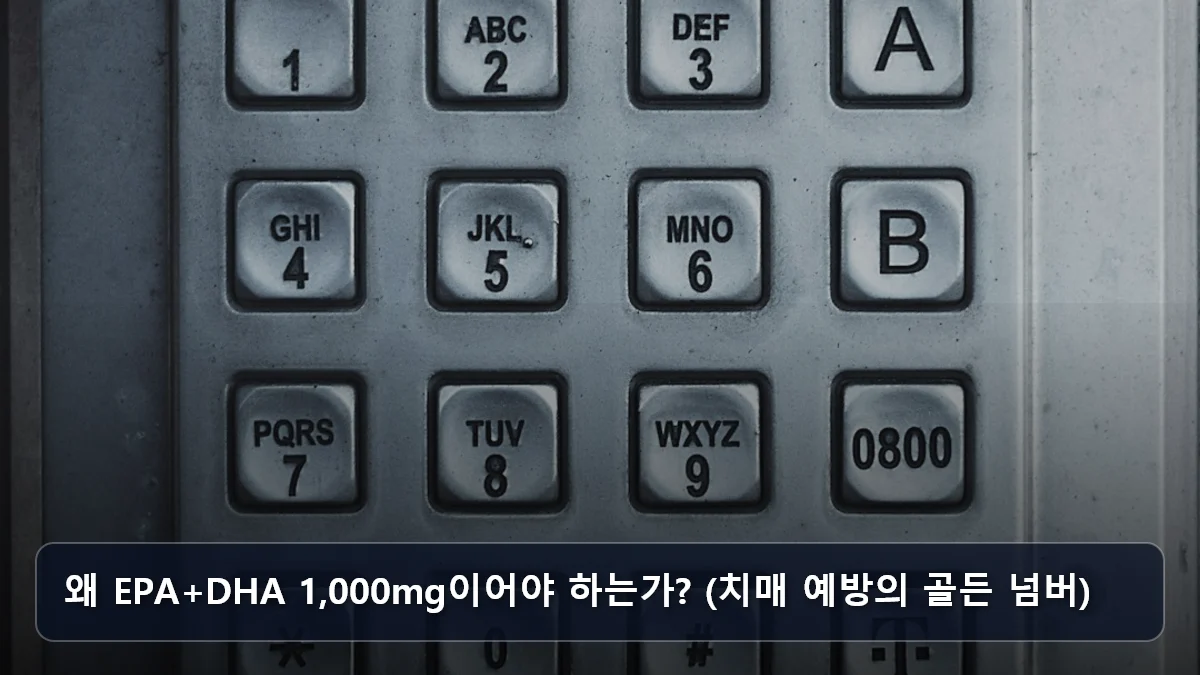 왜 EPA+DHA 1,000mg이어야 하는가? (치매 예방의 골든 넘버) 관련 이미지