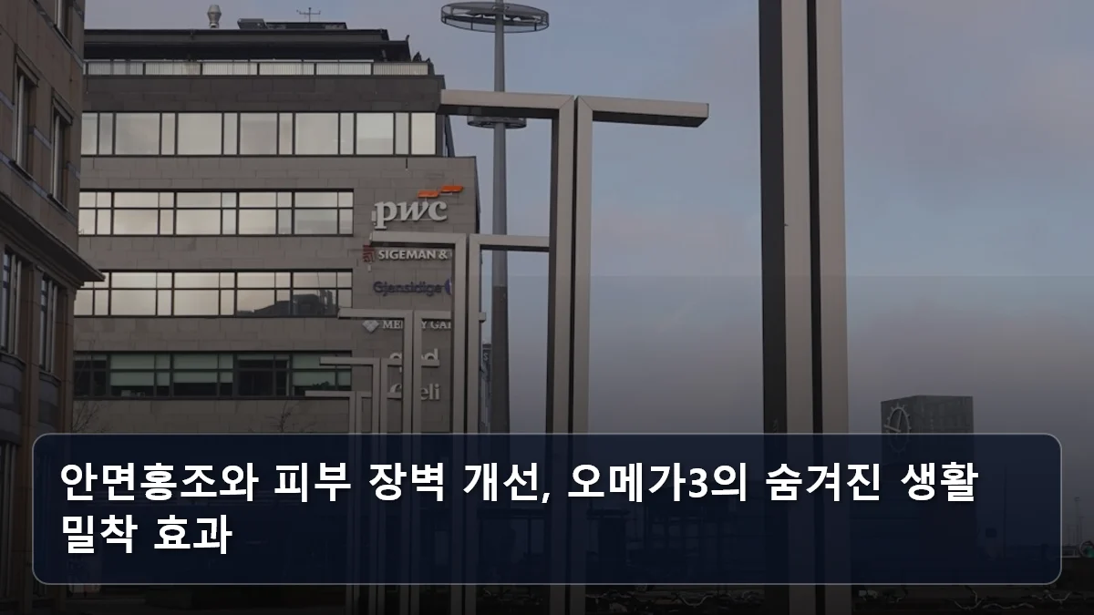 안면홍조와 피부 장벽 개선, 오메가3의 숨겨진 생활 밀착 효과 관련 이미지