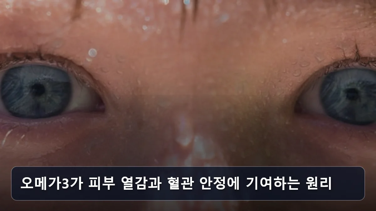 오메가3가 피부 열감과 혈관 안정에 기여하는 원리 관련 이미지