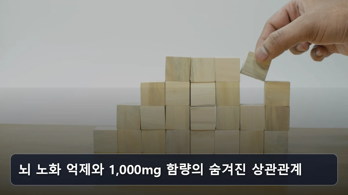 뇌 노화 억제와 1,000mg 함량의 숨겨진 상관관계 관련 이미지