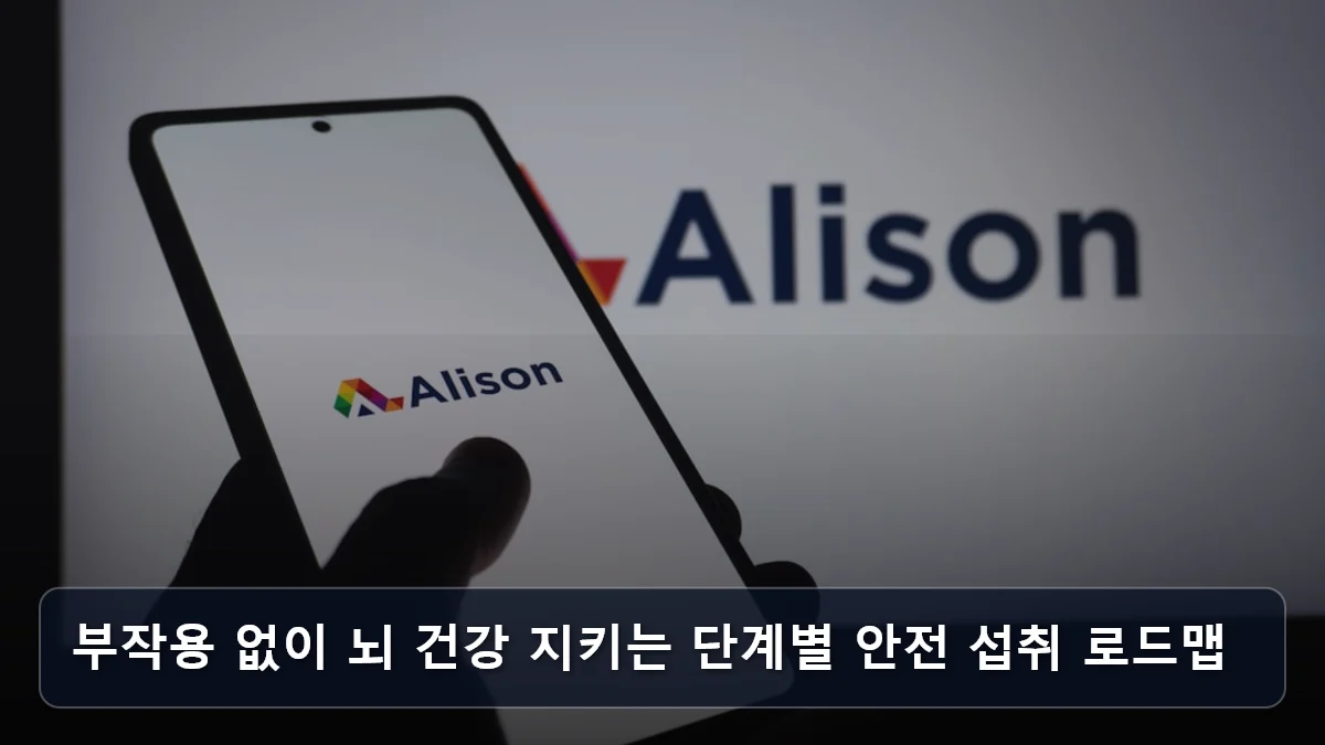 부작용 없이 뇌 건강 지키는 단계별 안전 섭취 로드맵 관련 이미지