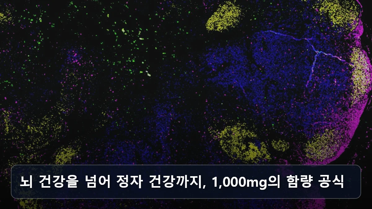 뇌 건강을 넘어 정자 건강까지, 1,000mg의 함량 공식 관련 이미지