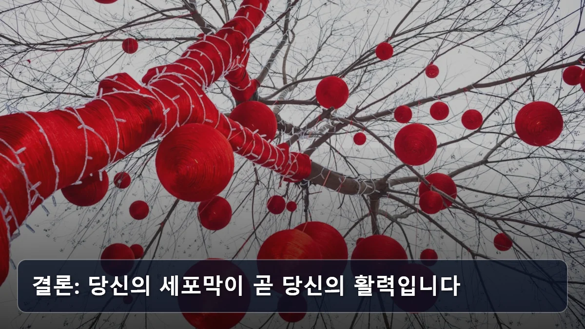 결론: 당신의 세포막이 곧 당신의 활력입니다 관련 이미지