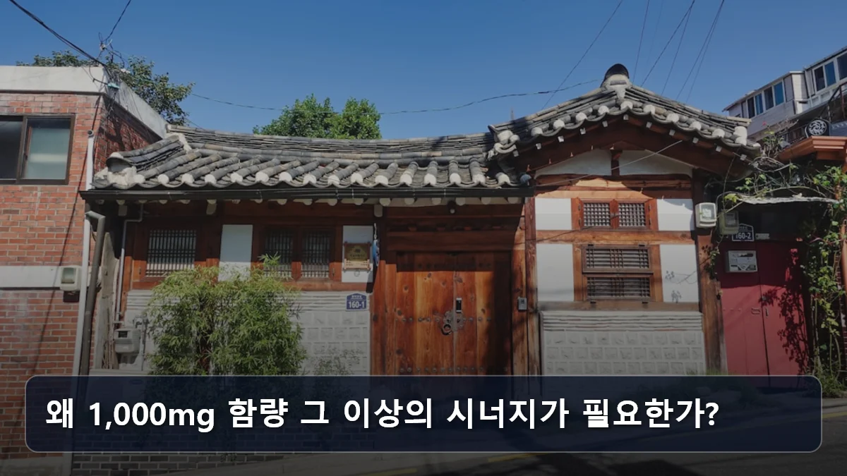 왜 1,000mg 함량 그 이상의 시너지가 필요한가? 관련 이미지