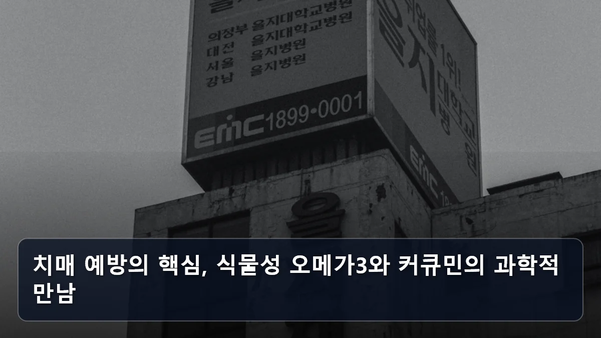 치매 예방의 핵심, 식물성 오메가3와 커큐민의 과학적 만남 관련 이미지