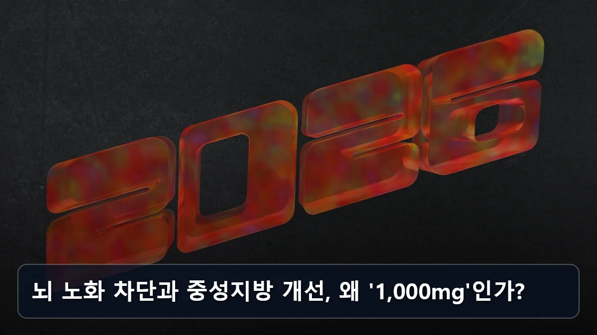 뇌 노화 차단과 중성지방 개선, 왜 '1,000mg'인가? 관련 이미지