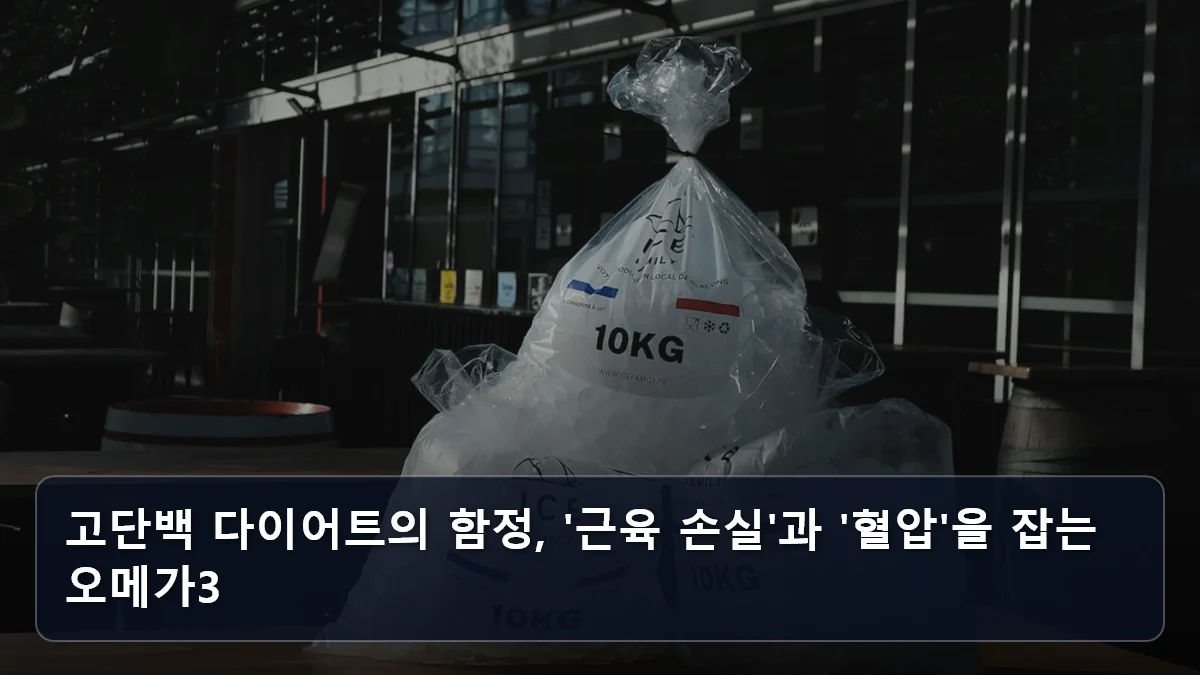 고단백 다이어트의 함정, '근육 손실'과 '혈압'을 잡는 오메가3 관련 이미지
