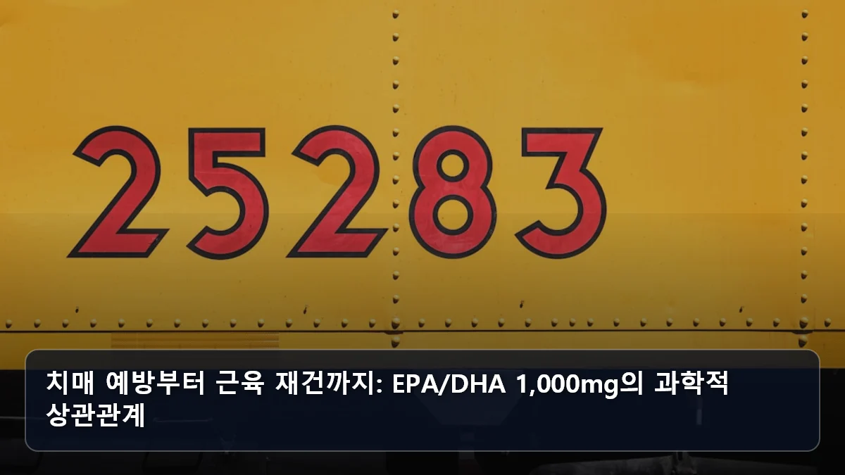 치매 예방부터 근육 재건까지: EPA/DHA 1,000mg의 과학적 상관관계 관련 이미지