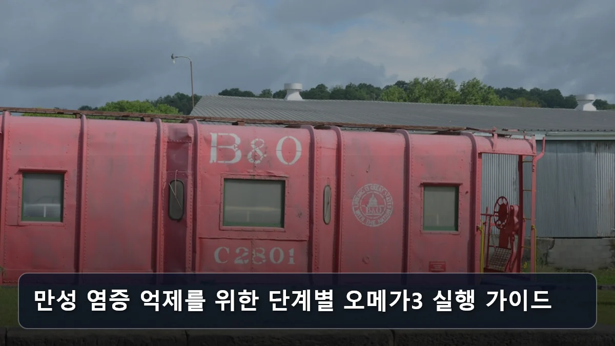 만성 염증 억제를 위한 단계별 오메가3 실행 가이드 관련 이미지