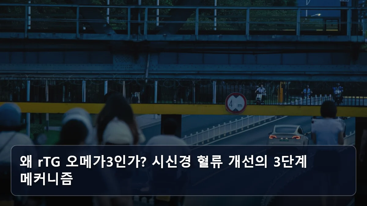 왜 rTG 오메가3인가? 시신경 혈류 개선의 3단계 메커니즘 관련 이미지