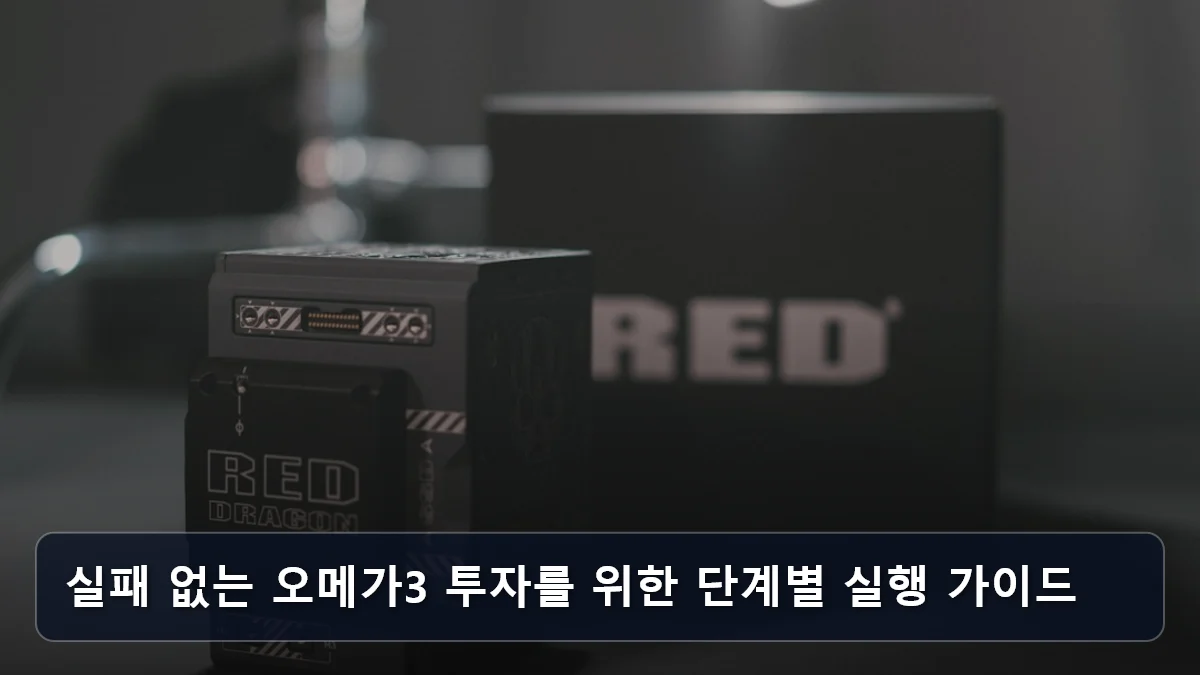 실패 없는 오메가3 투자를 위한 단계별 실행 가이드 관련 이미지