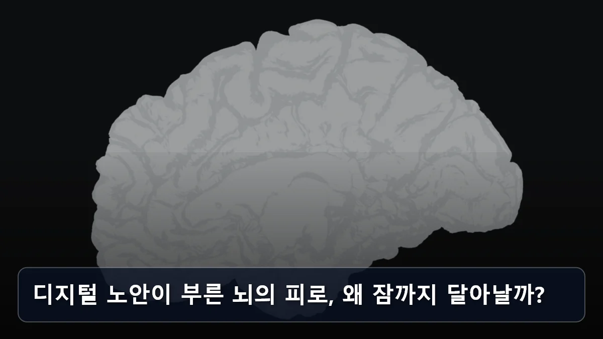 디지털 노안이 부른 뇌의 피로, 왜 잠까지 달아날까? 관련 이미지