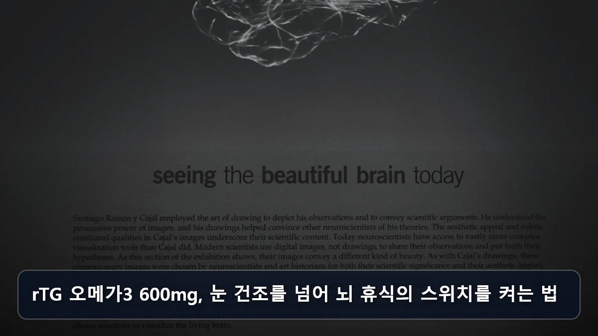 rTG 오메가3 600mg, 눈 건조를 넘어 뇌 휴식의 스위치를 켜는 법 관련 이미지
