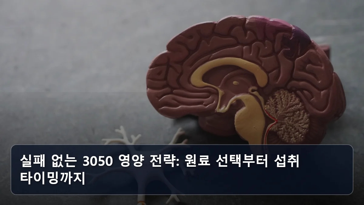 실패 없는 3050 영양 전략: 원료 선택부터 섭취 타이밍까지 관련 이미지