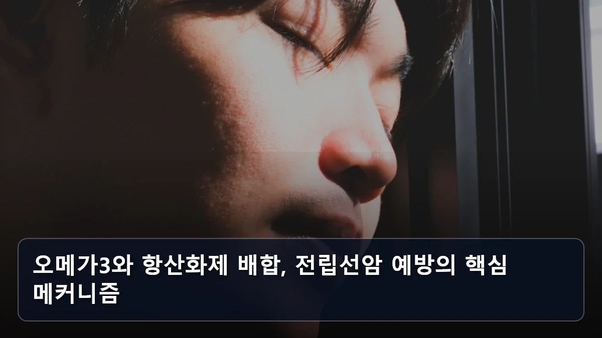 오메가3와 항산화제 배합, 전립선암 예방의 핵심 메커니즘 관련 이미지