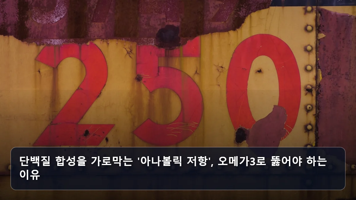 단백질 합성을 가로막는 '아나볼릭 저항', 오메가3로 뚫어야 하는 이유 관련 이미지