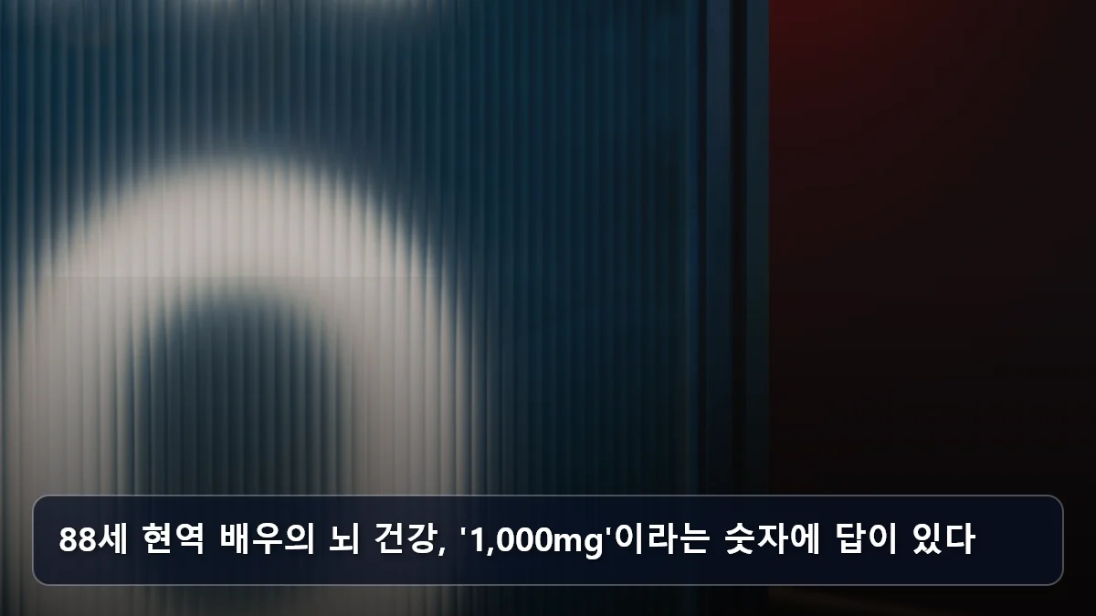 88세 현역 배우의 뇌 건강, '1,000mg'이라는 숫자에 답이 있다 관련 이미지