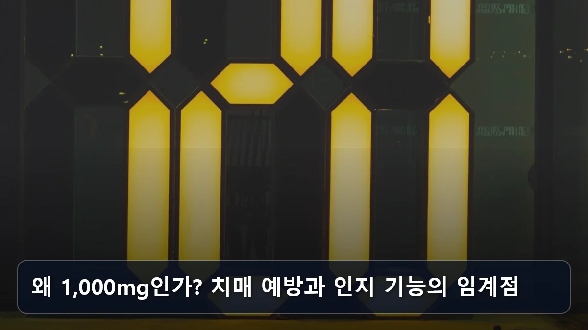 왜 1,000mg인가? 치매 예방과 인지 기능의 임계점 관련 이미지