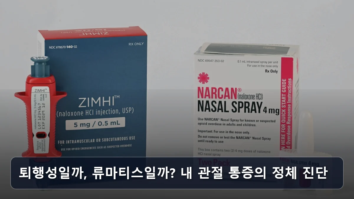 퇴행성일까, 류마티스일까? 내 관절 통증의 정체 진단 관련 이미지