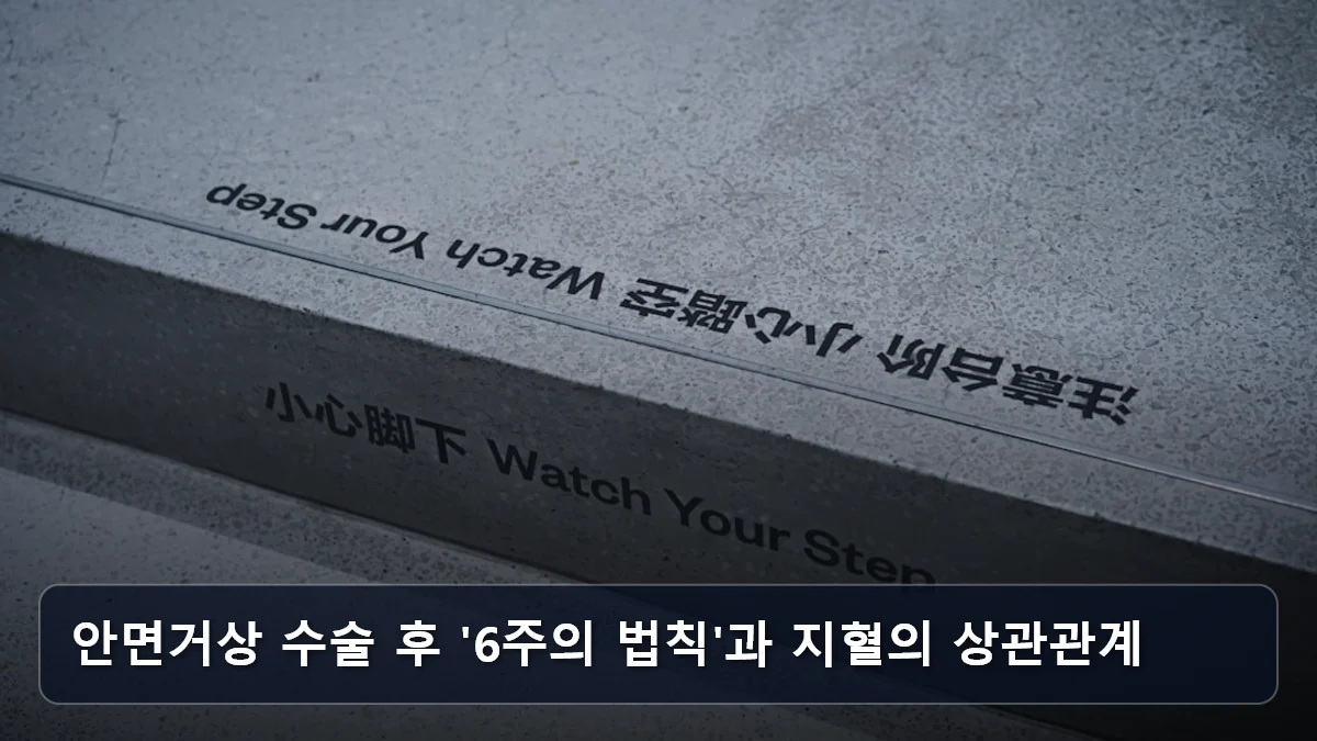 안면거상 수술 후 '6주의 법칙'과 지혈의 상관관계 관련 이미지