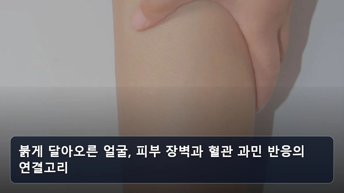 붉게 달아오른 얼굴, 피부 장벽과 혈관 과민 반응의 연결고리 관련 이미지