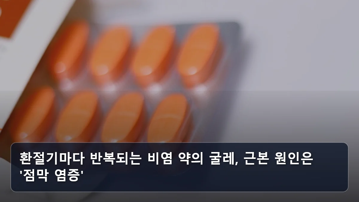 환절기마다 반복되는 비염 약의 굴레, 근본 원인은 '점막 염증' 관련 이미지