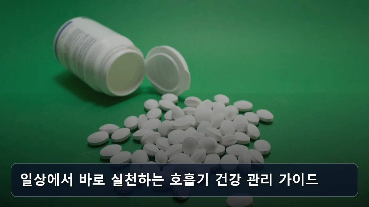 일상에서 바로 실천하는 호흡기 건강 관리 가이드 관련 이미지