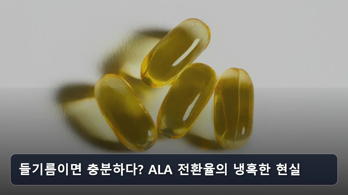 들기름이면 충분하다? ALA 전환율의 냉혹한 현실 관련 이미지