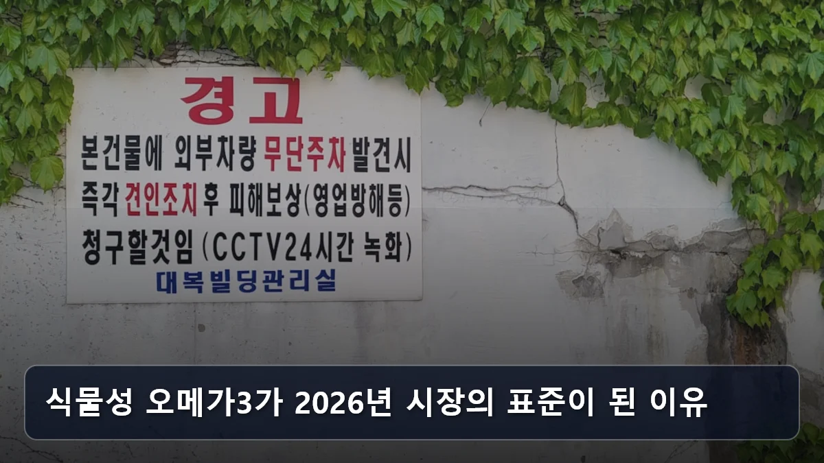 식물성 오메가3가 2026년 시장의 표준이 된 이유 관련 이미지
