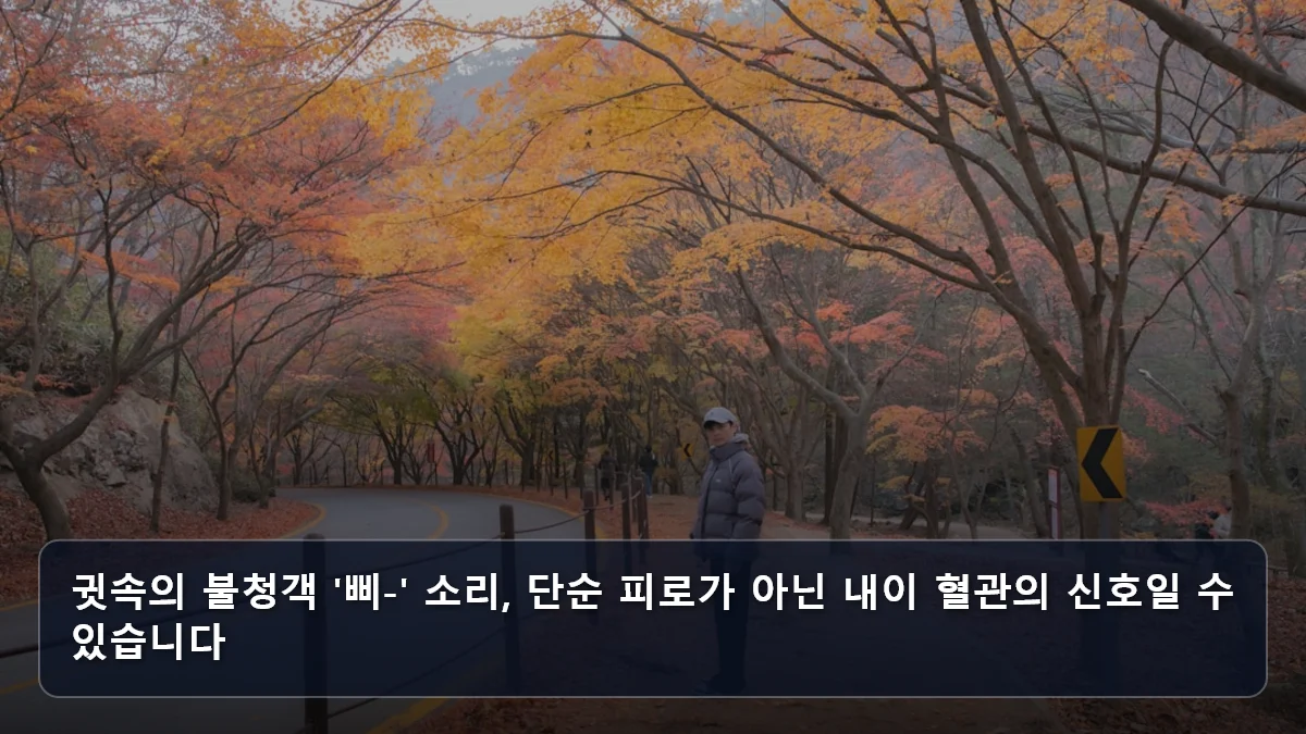 귓속의 불청객 '삐-' 소리, 단순 피로가 아닌 내이 혈관의 신호일 수 있습니다 관련 이미지