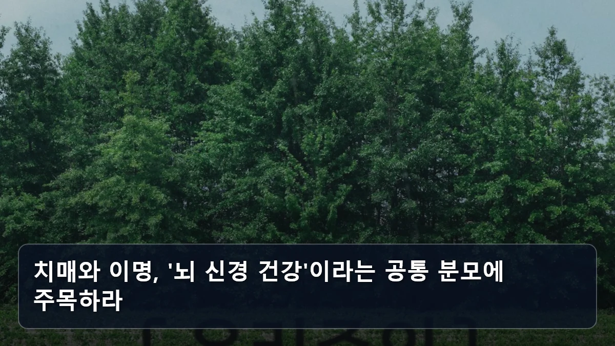 치매와 이명, '뇌 신경 건강'이라는 공통 분모에 주목하라 관련 이미지