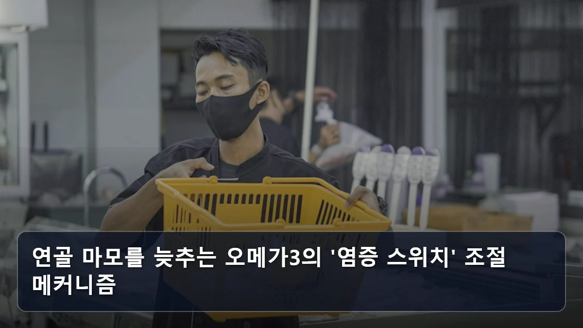 연골 마모를 늦추는 오메가3의 '염증 스위치' 조절 메커니즘 관련 이미지