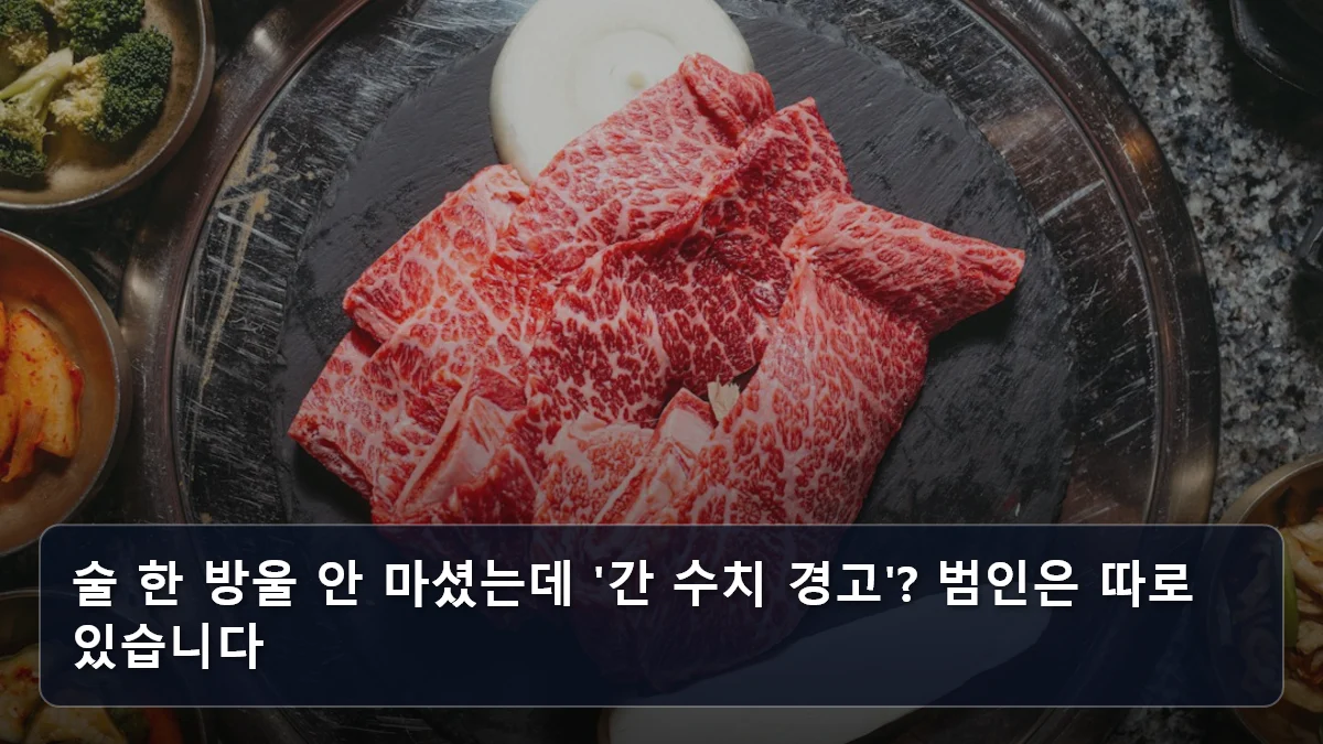 술 한 방울 안 마셨는데 '간 수치 경고'? 범인은 따로 있습니다 관련 이미지