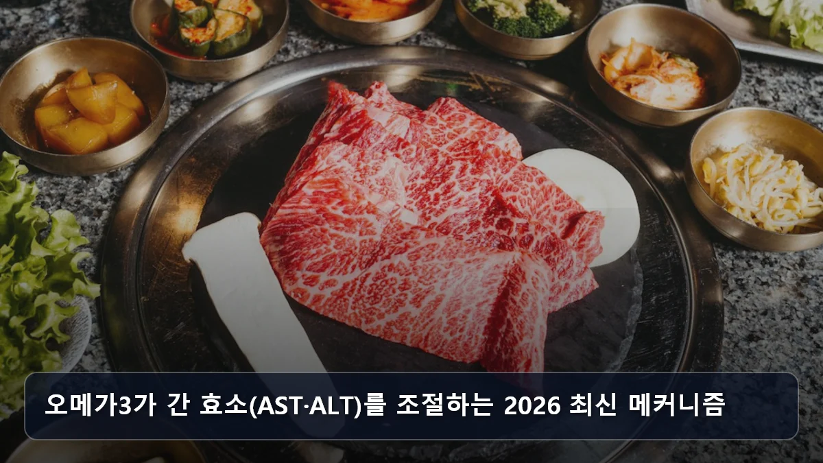 오메가3가 간 효소(AST·ALT)를 조절하는 2026 최신 메커니즘 관련 이미지