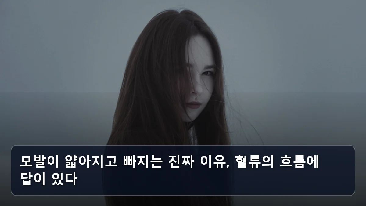 모발이 얇아지고 빠지는 진짜 이유, 혈류의 흐름에 답이 있다 관련 이미지