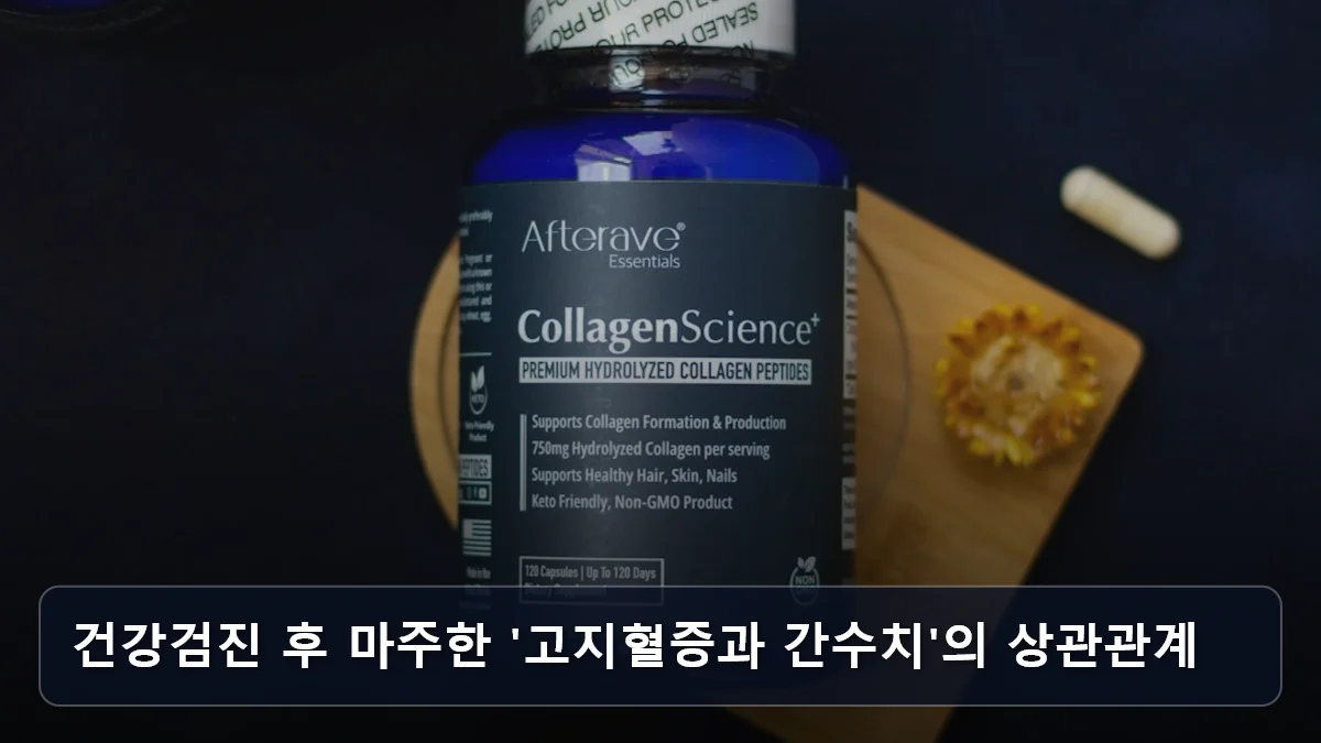 건강검진 후 마주한 '고지혈증과 간수치'의 상관관계 관련 이미지