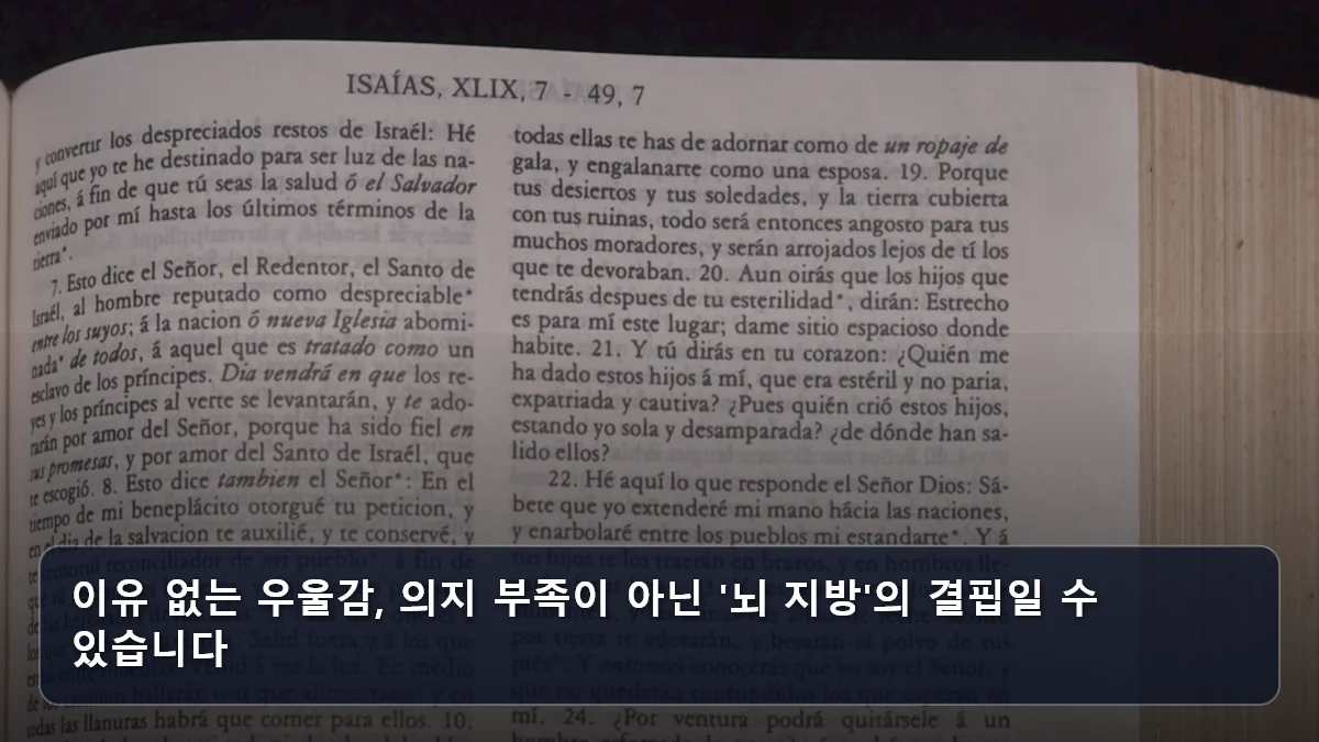이유 없는 우울감, 의지 부족이 아닌 '뇌 지방'의 결핍일 수 있습니다 관련 이미지