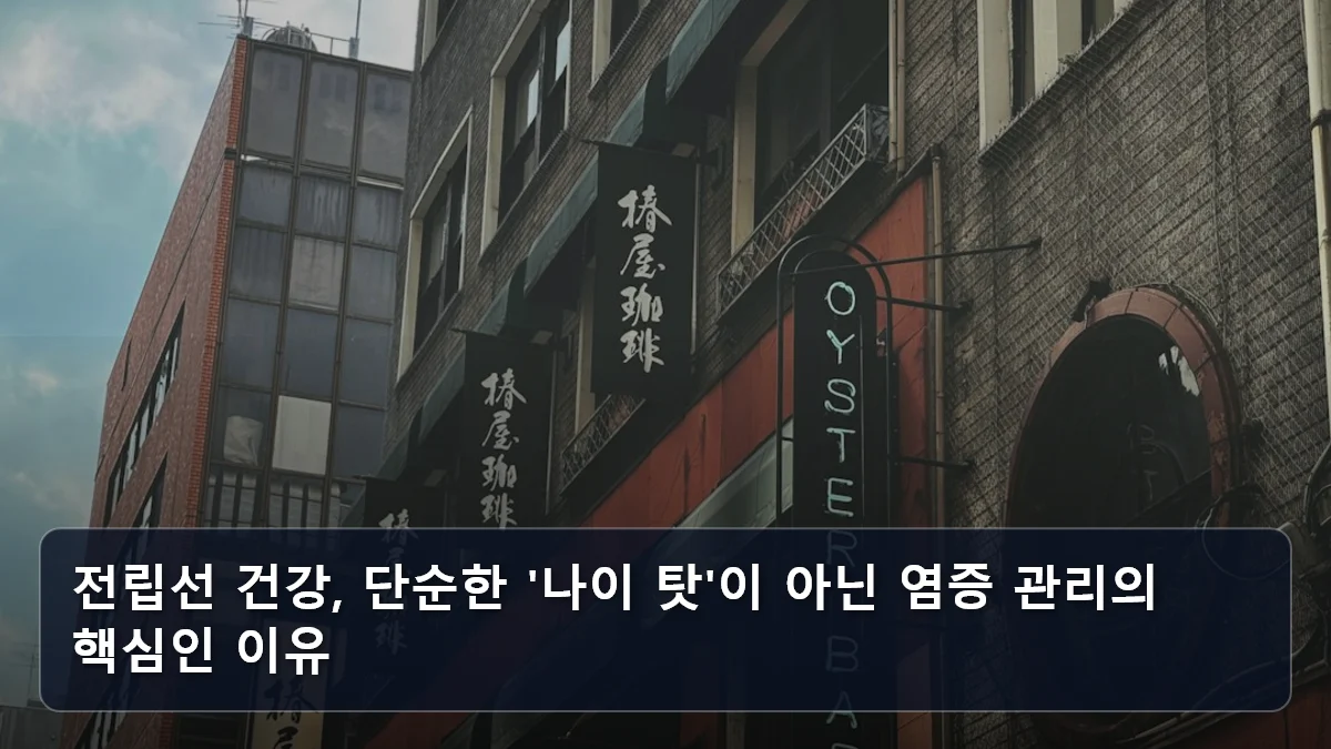 전립선 건강, 단순한 '나이 탓'이 아닌 염증 관리의 핵심인 이유 관련 이미지