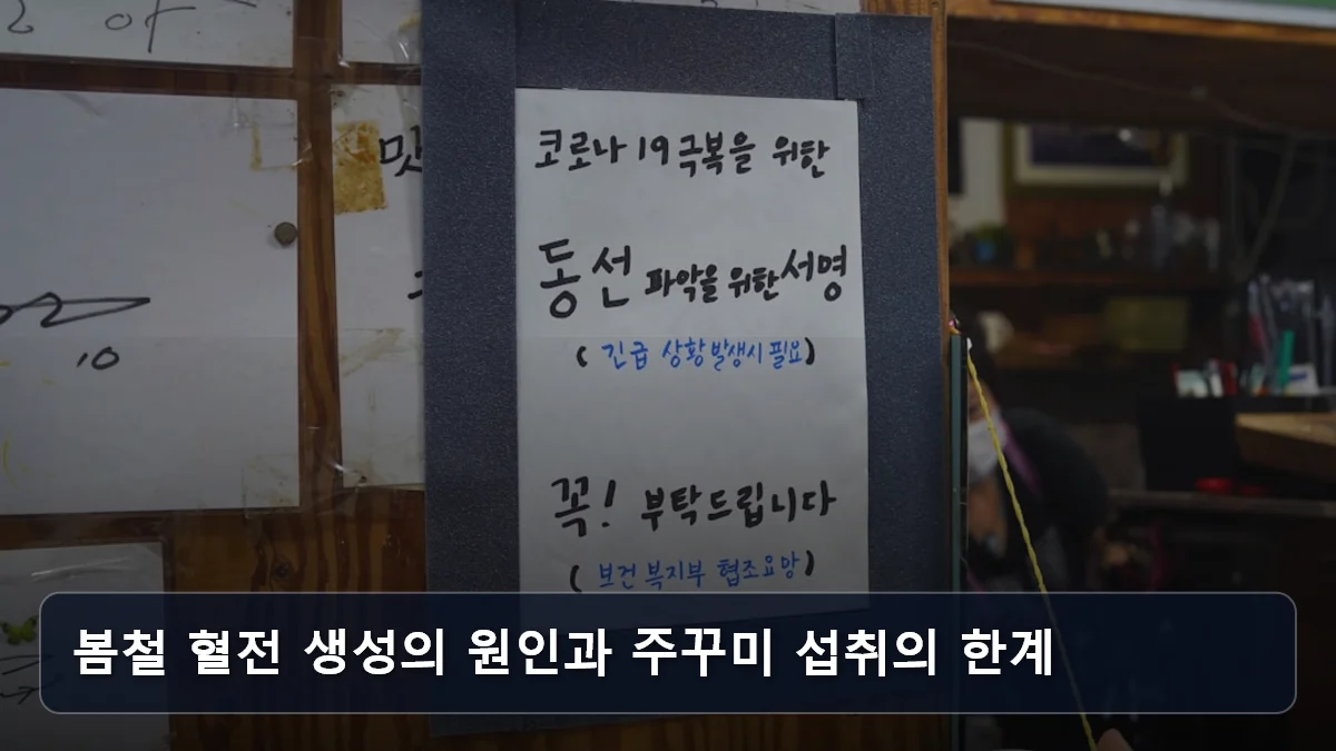 봄철 혈전 생성의 원인과 주꾸미 섭취의 한계 관련 이미지