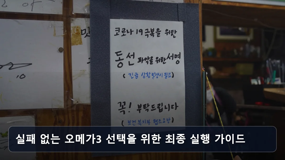 실패 없는 오메가3 선택을 위한 최종 실행 가이드 관련 이미지