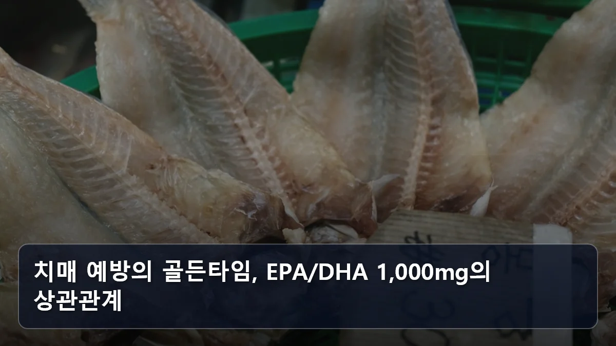 치매 예방의 골든타임, EPA/DHA 1,000mg의 상관관계 관련 이미지