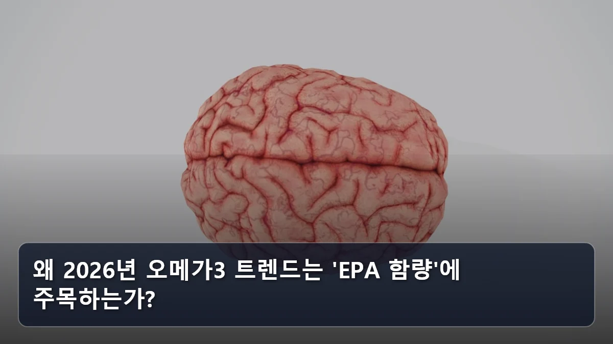 왜 2026년 오메가3 트렌드는 'EPA 함량'에 주목하는가? 관련 이미지