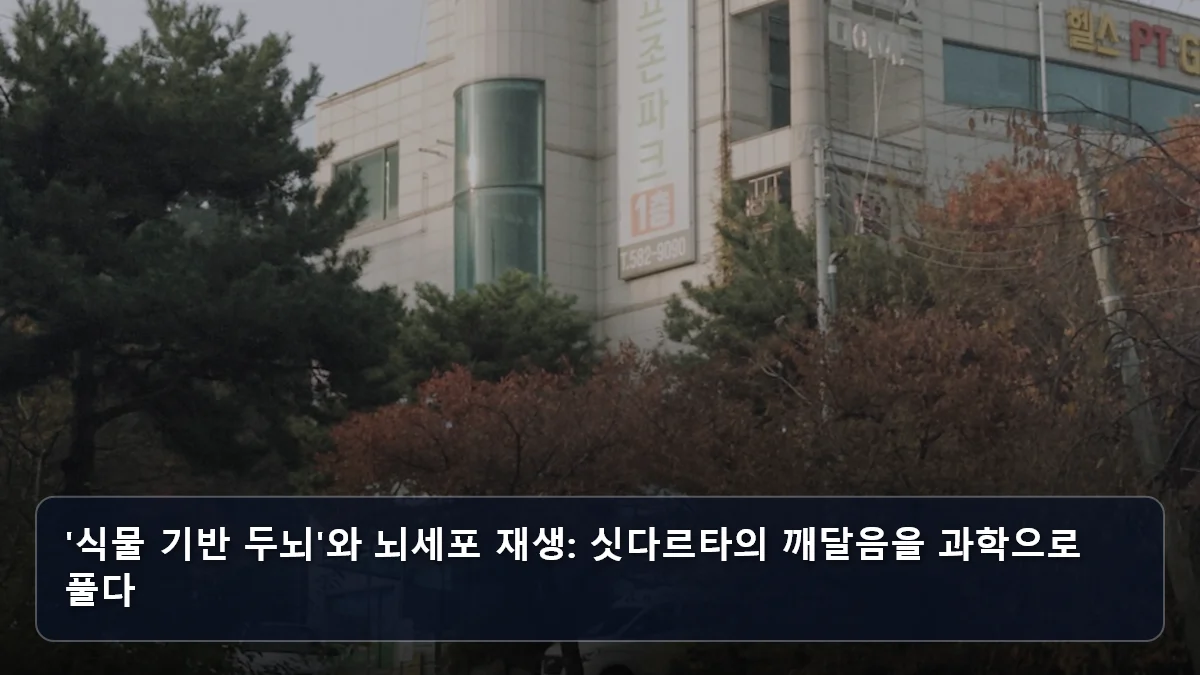 '식물 기반 두뇌'와 뇌세포 재생: 싯다르타의 깨달음을 과학으로 풀다 관련 이미지