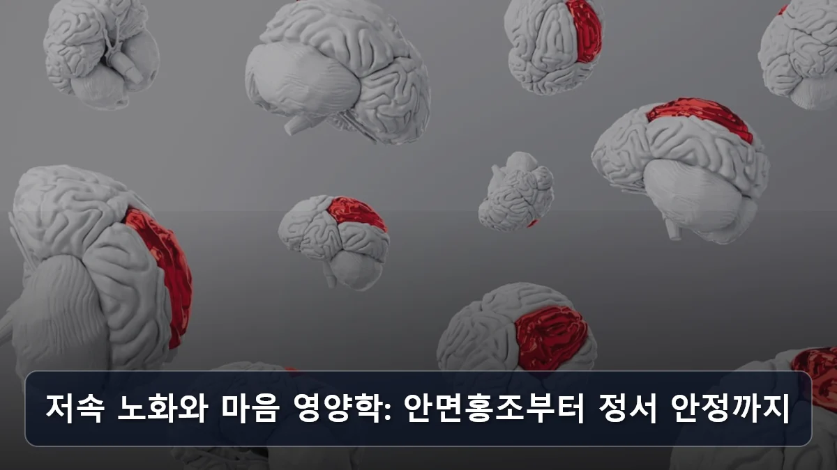 저속 노화와 마음 영양학: 안면홍조부터 정서 안정까지 관련 이미지